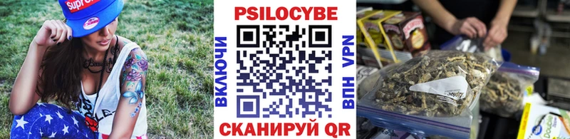 сколько стоит  Суздаль  Псилоцибиновые грибы ЛСД 